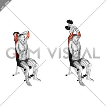 dumbbell seated triceps