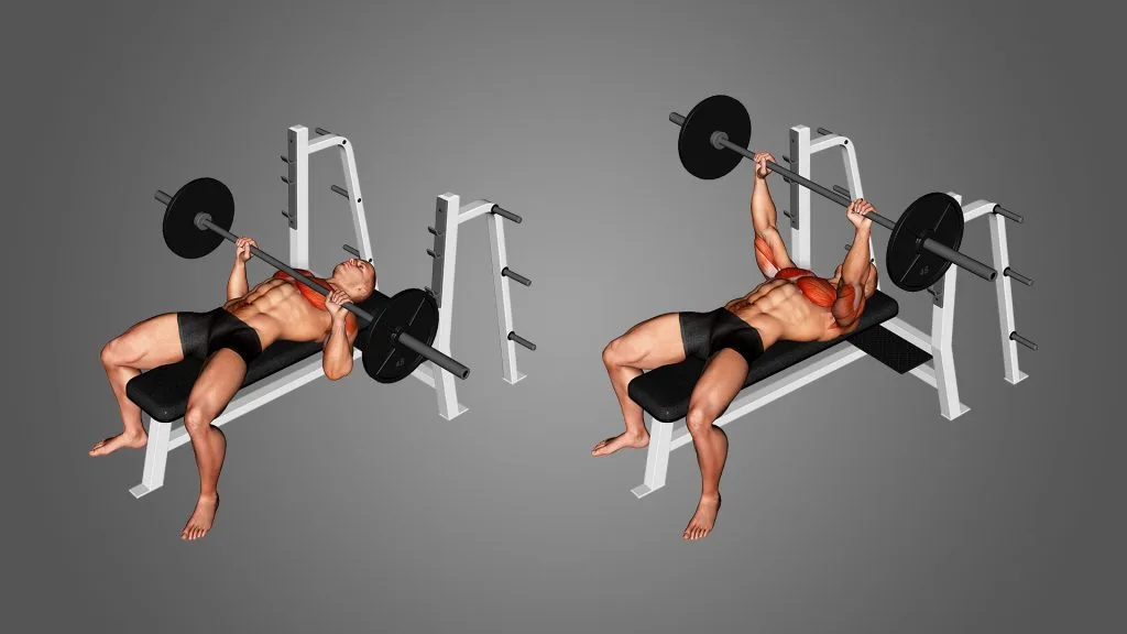 This image has an empty alt attribute; its file name is barbell-bench-press-benefits-1024x576-1-jpg.webp