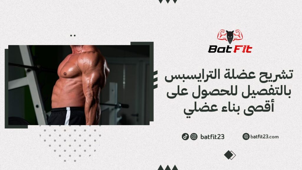 تشريح عضلة الترايسبس بالتفصيل للحصول على أقصى بناء عضلي