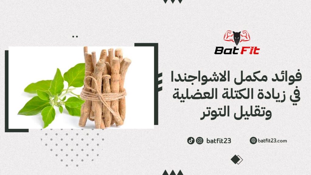 فوائد مكمل الاشواجندا في زيادة الكتلة العضلية وتقليل التوتر