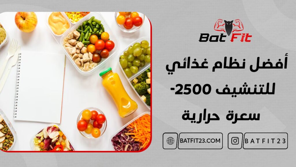 افضل واسهل نظام غذائي للتنشيف 2500 سعرة حرارية