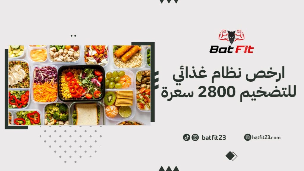 ارخص نظام غذائي للتضخيم- 2800 سعرة حرارية