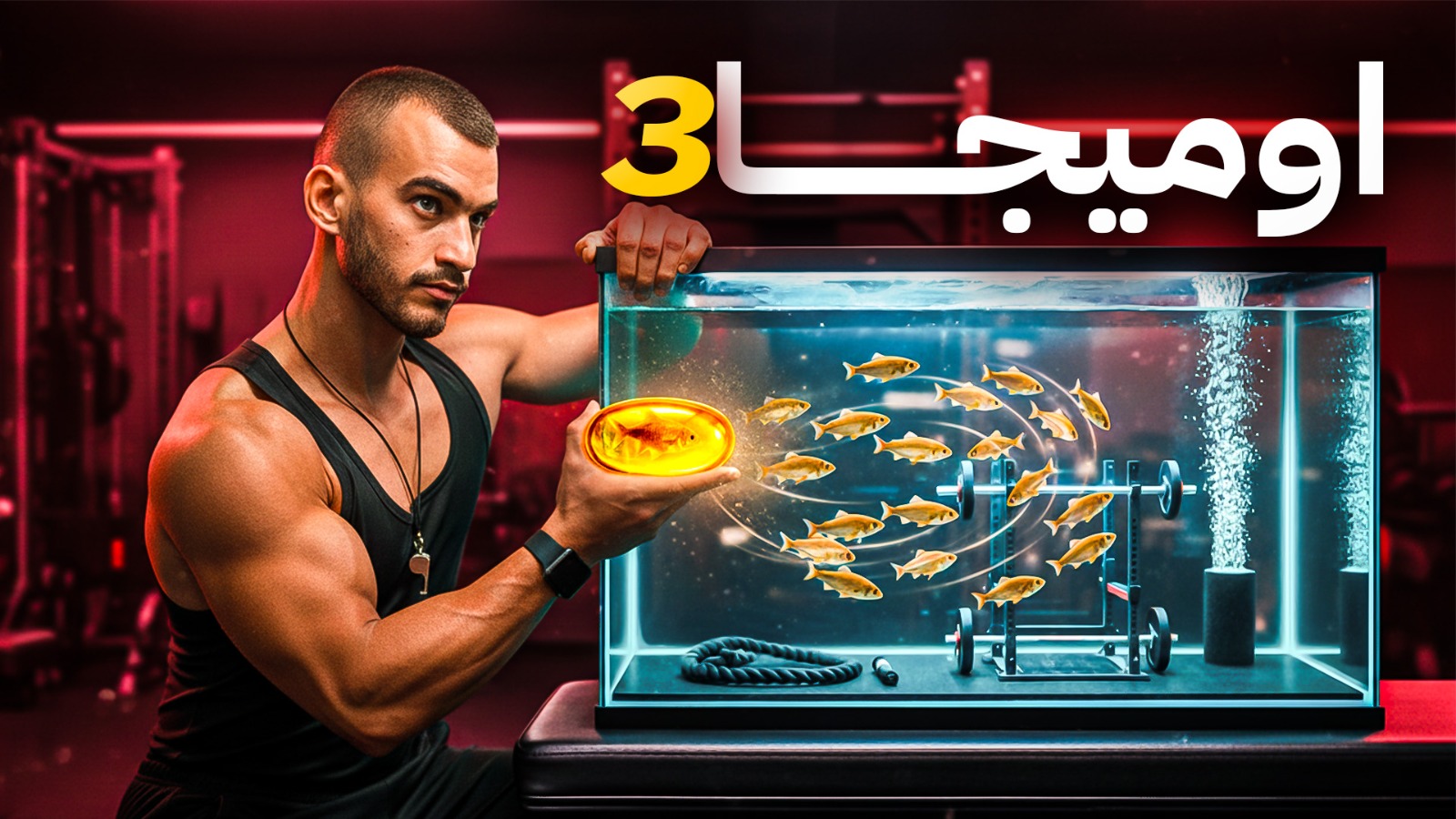 لماذا لا تستفيد من مكمل الأوميجا 3؟